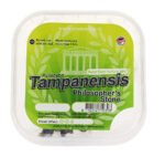 Tampanensis - 10 gram